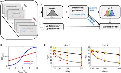 A Model Guided Approach to Evoke Homogeneous Behavior During Temporal Reward and Loss Discounting